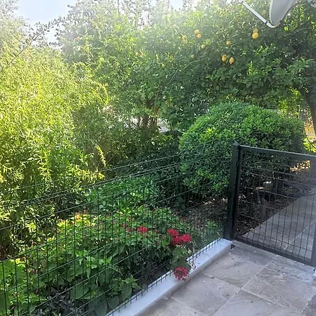 Abaa Yakamoz Daire Kuşadası